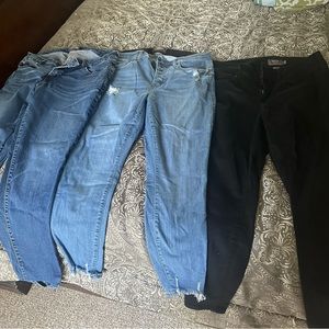 3 pairs of torrid jeans
